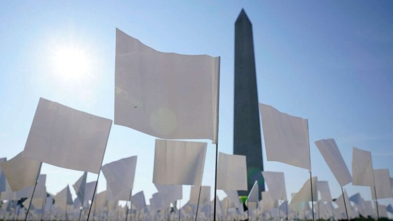 More than 600,000 flags on National Mall stand witness to America’s COVID dead