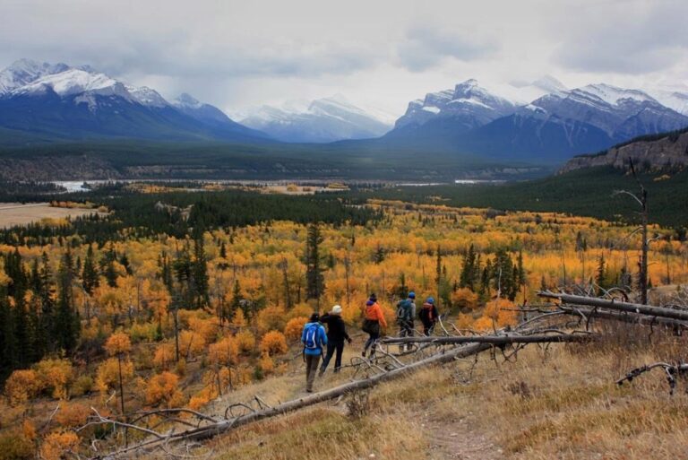 Albertans want overall policy on Rocky Mountain development: coal committee