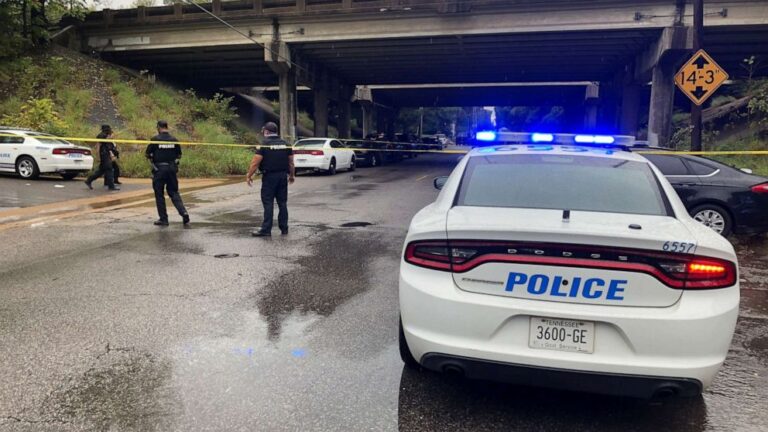13-year-old boy shot at school, student in custody: Police
