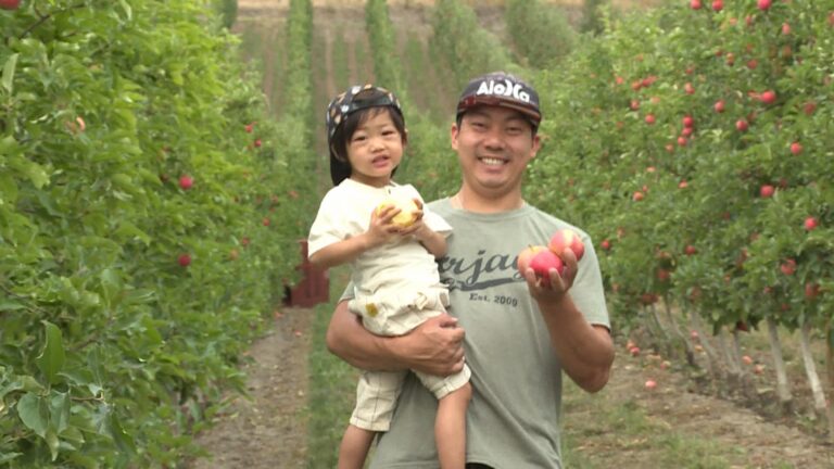 Families have pick of the bunch at Vernon, B.C.’s Davison Orchards