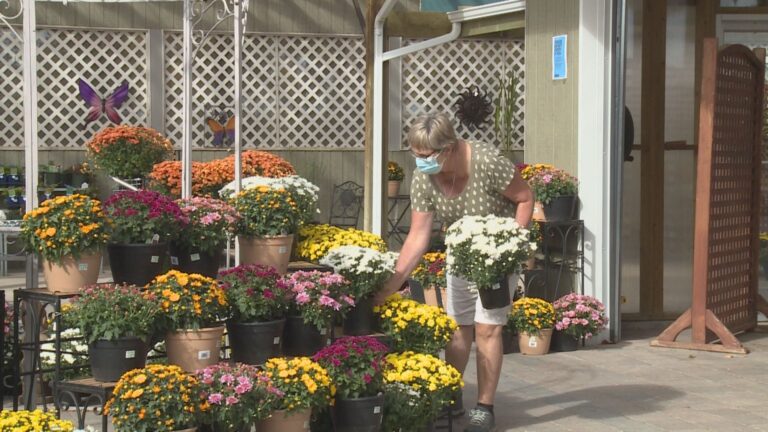 Tips on yard care, environmental sustainability as autumn rolls into Lethbridge