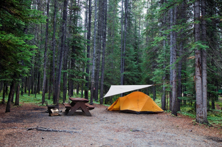 Manitoba seeking feedback on campsite reservations