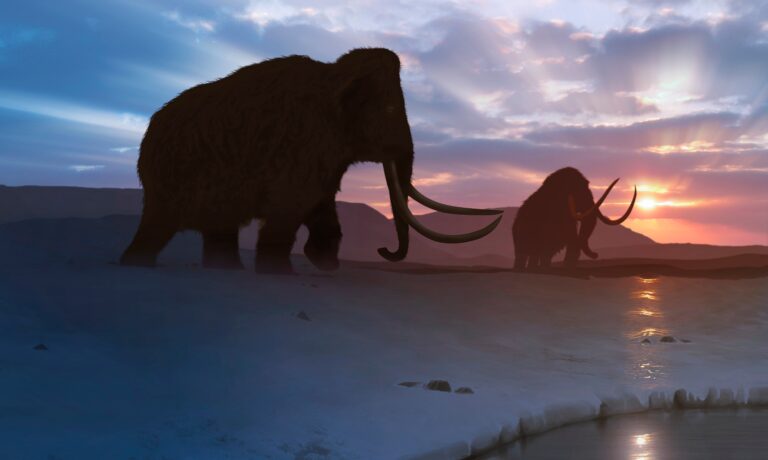 Colossal bet aims to revive, unleash woolly mammoth in Canada’s Arctic