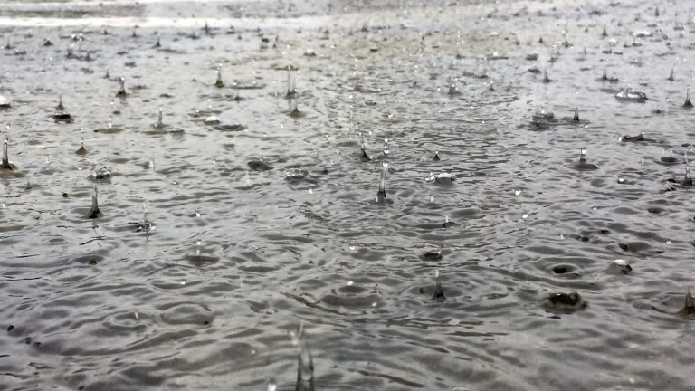 Otonabee Conservation issues flood watch for Peterborough area as rainfall warning in effect
