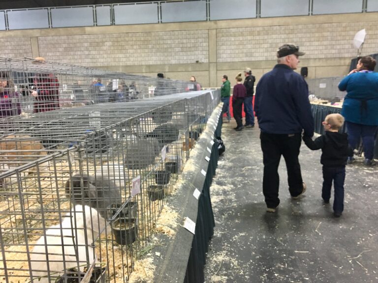 Farmfair International returns to Edmonton after 2020 COVID-19 hiatus