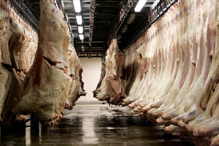 Meat packers call for changes to foreign worker cap to address labour shortage crisis