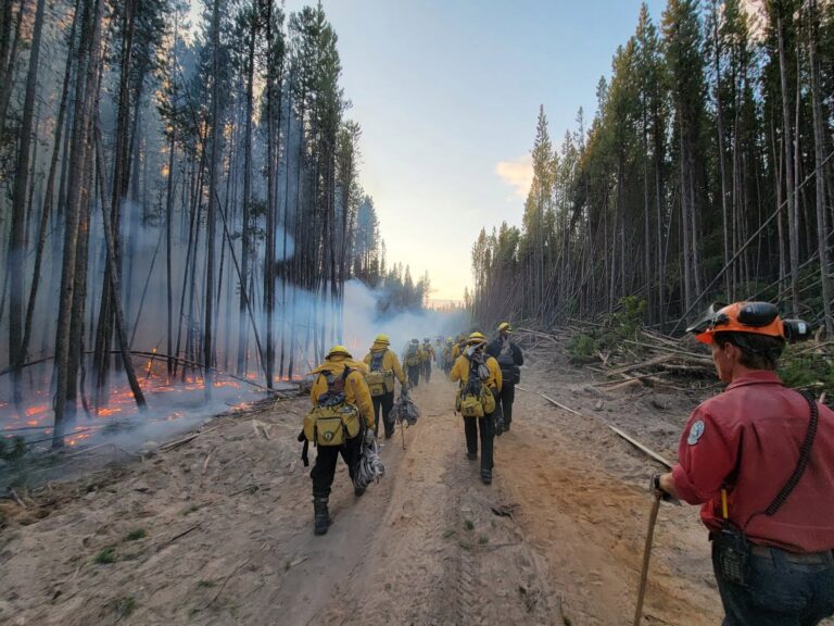 Mexican firefighters thanked for ‘invaluable’ service