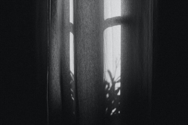 Texas woman shoots and kills alleged ‘peeping Tom’ at bedroom window