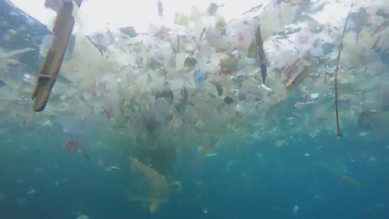 Despite political promises, plastic continues to fill Canada’s lakes, rivers and oceans