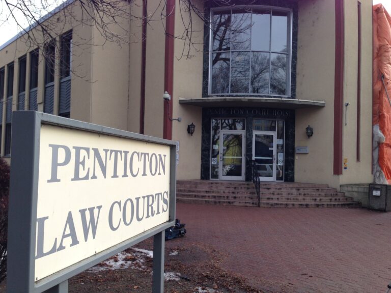 American lawyer fined after crossing Canadian border with guns