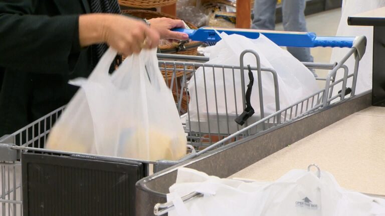 Plastic checkout bag ban coming February 2022 to Regina