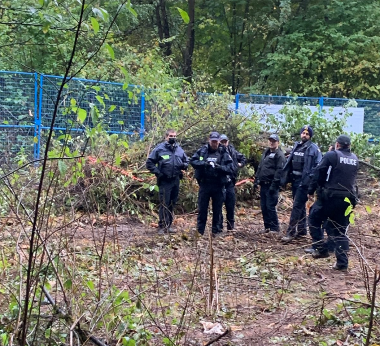 Trans Mountain worker knocked out by fallen tree branch, tree-sit camps dismantled