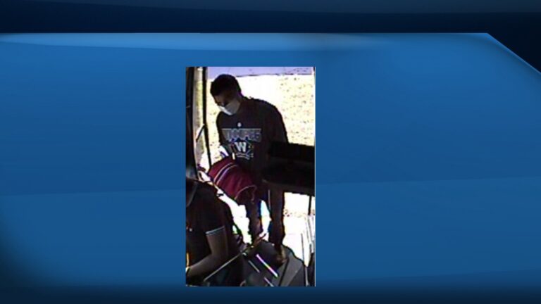Robbery on Winnipeg Transit bus left young woman injured