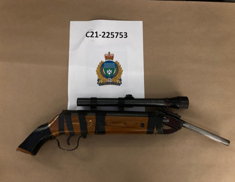Guns, drugs seized by Winnipeg cops after Sherbrook Street incident