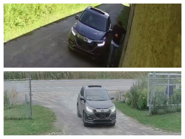 Items stolen from storage units at Selwyn Township business: Peterborough County OPP
