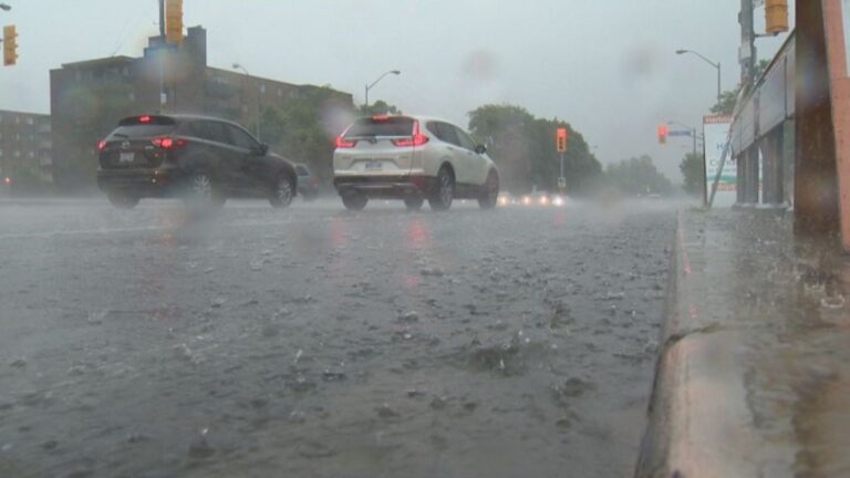 Lower Trent Conservation issues water safety advisory for Trenton, Ont. area