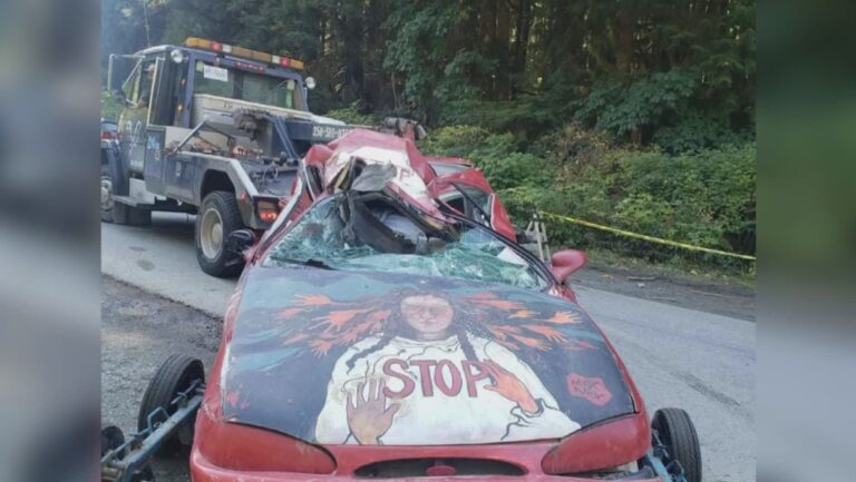 Protesters claim forestry company, police illegally towing vehicles near B.C. old-growth blockade