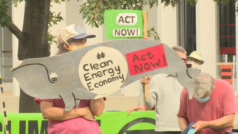 Climate rallies in New Brunswick, Nova Scotia demand action