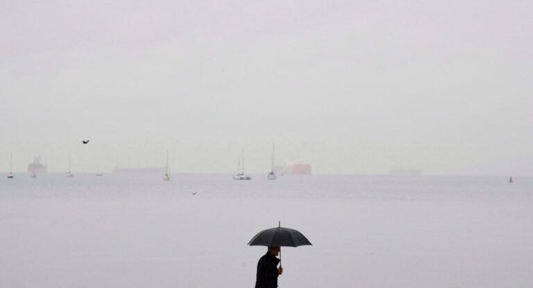 Warning issued as heavy rain, strong winds forecast for B.C.’s South Coast