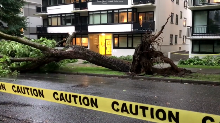 B.C.’s South Coast sees rainiest day in 32 months amid first storm of the season
