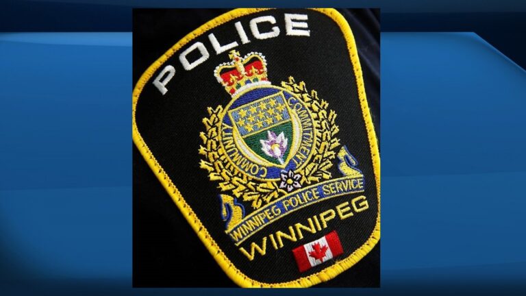 Winnipeg police search for missing girl, 11