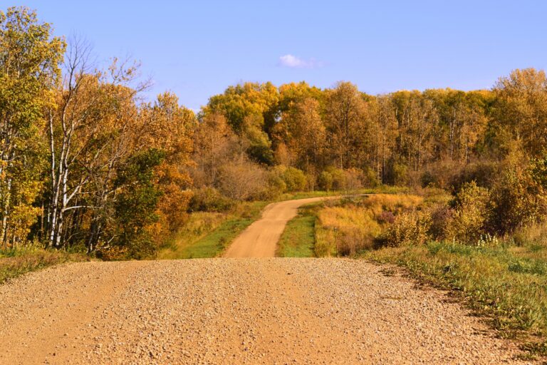 Your Saskatchewan photo of the day: October 2021