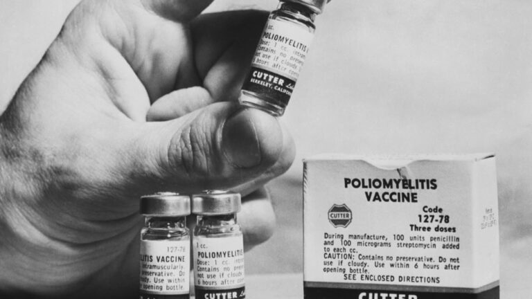 ‘These diseases are now vaccine preventable’: the parallels between polio and COVID-19