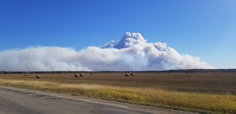 Over 600 people evacuated from 2 Sask. First Nations due to wildfires
