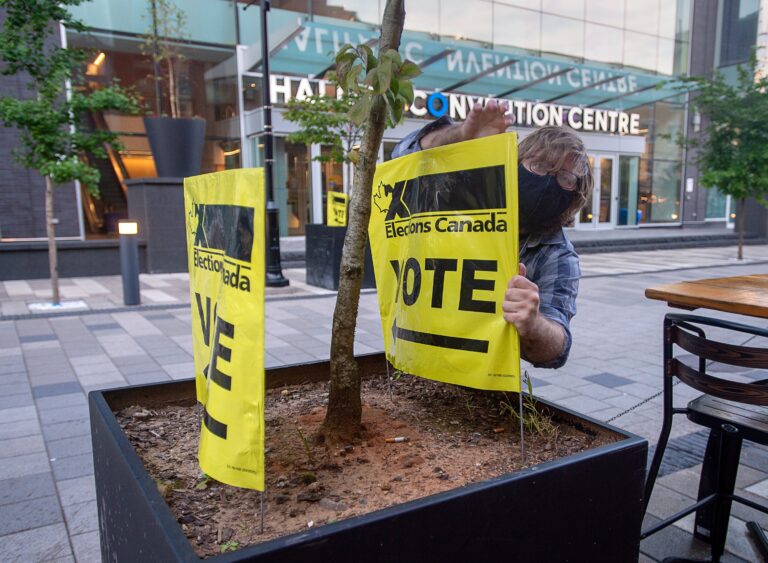 Maverick Party planning to up its game after poor election results