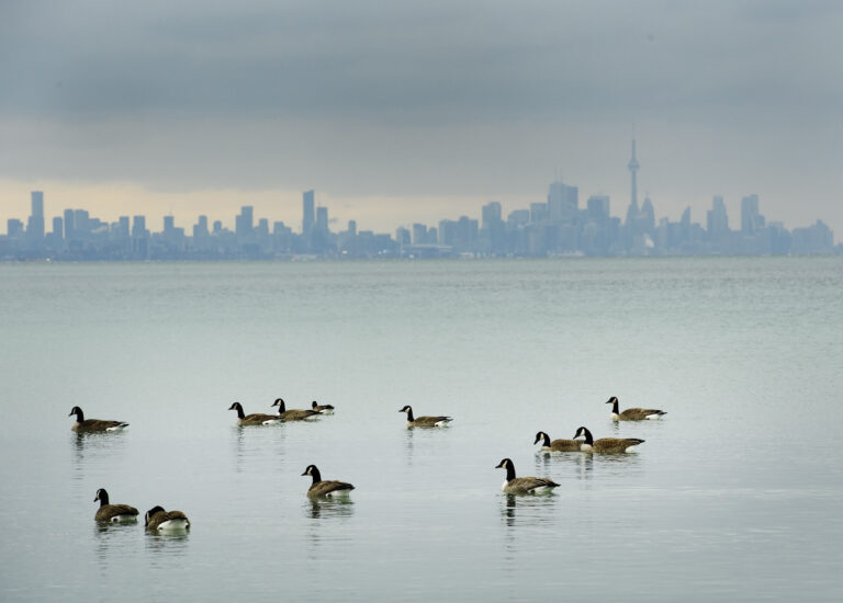 86% of Canadians live in areas where air pollution exceeds WHO guidelines: researchers