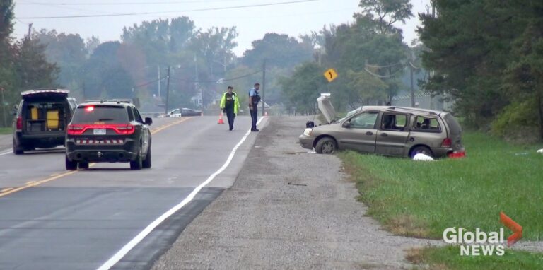 1 dead after crash on Hwy. 35 near Cameron in City of Kawartha Lakes: OPP
