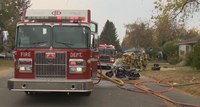 Man rushed to hospital as cat, snakes saved from Calgary fire
