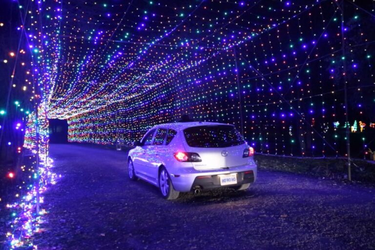 Christmas 2021: Gift of Lights drive-thru display returns to Bingemans in November