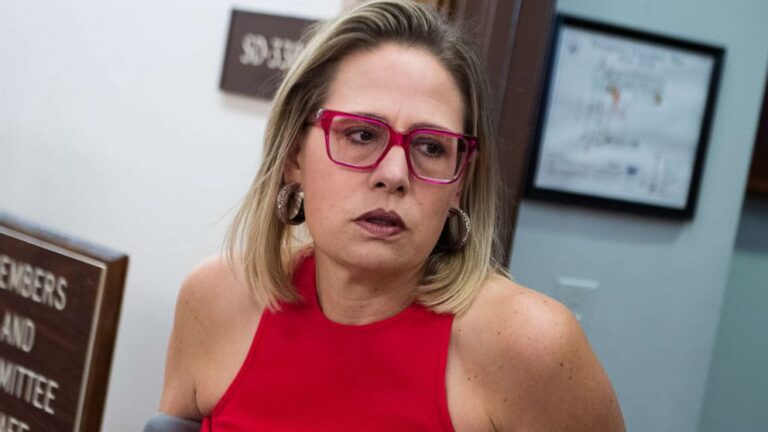 Kyrsten Sinema claps back after chased into bathroom by pro-Biden agenda protesters