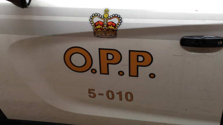 Pedestrian struck on County Road 28 in Hamilton Township: Northumberland OPP