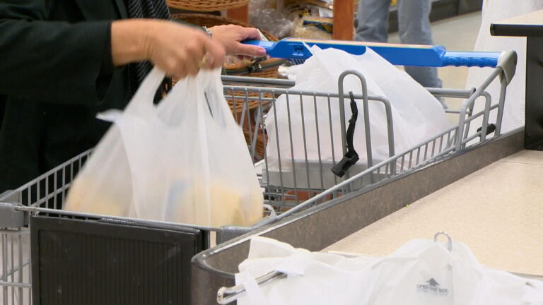 Plastic bag bylaw coming into effect in Prince Albert, Sask.