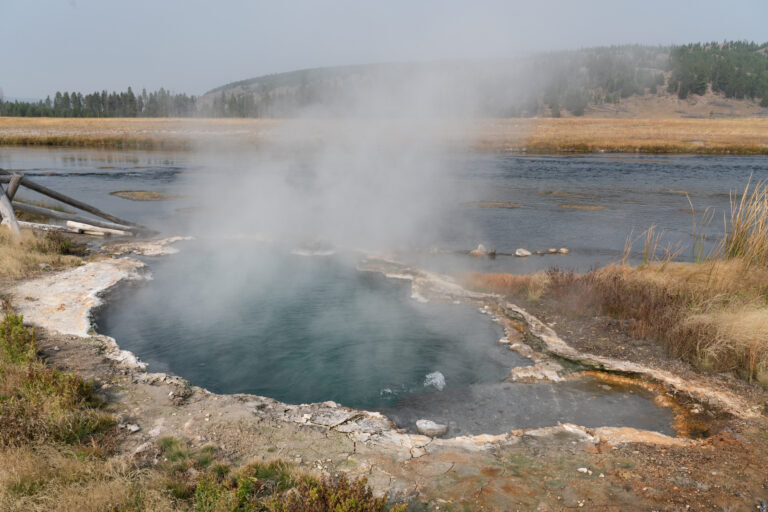 Woman suffers severe burns after trying to rescue dog from thermal pool at Yellowstone Park
