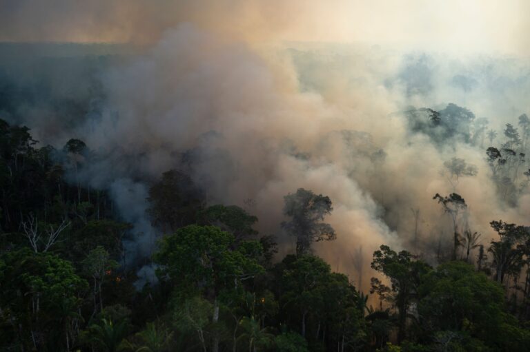 Deforestation in Brazil’s Amazon rises for 2nd straight month despite COP26 vows