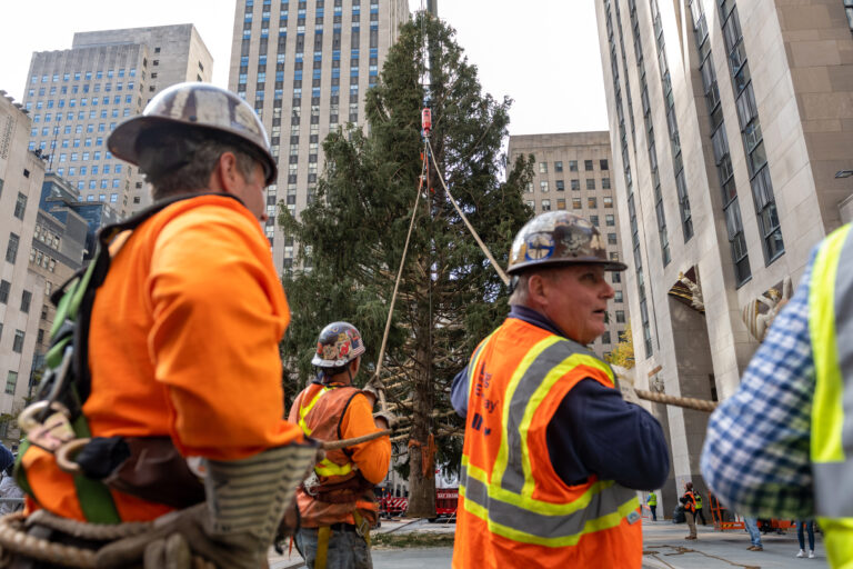 Rockefeller Center Christmas tree arrives in NYC as holiday season kicks off