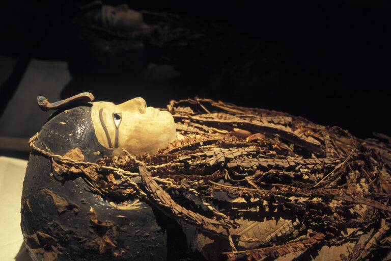 Ancient Egyptian mummy ‘unwrapped’ in CT scans, revealing face, jewels and treasure