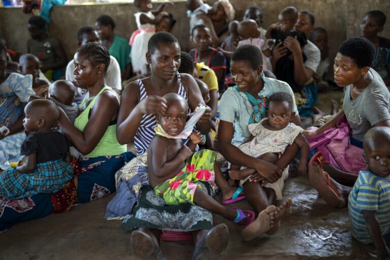 COVID disrupted global malaria fight, leading to thousands more deaths: WHO
