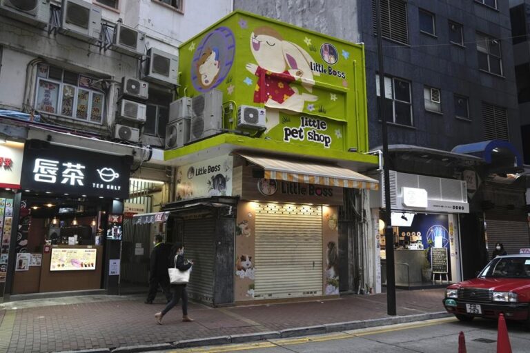 Hong Kong killing 2K small animals after hamsters catch COVID-19