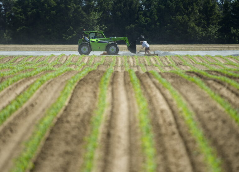 Omicron COVID-19 variant concerning for Canadian food production, farm groups say