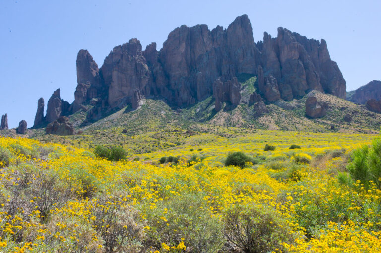 Arizona camper falls to his death while trying to take mountain selfie