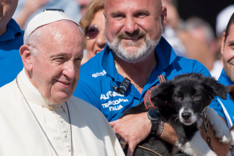 Pope under fire after calling people ‘selfish’ for having pets instead of kids