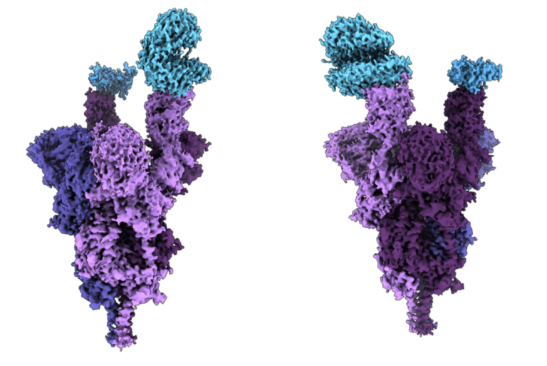 Omicron variant complicates what a COVID-19 endemic will look like