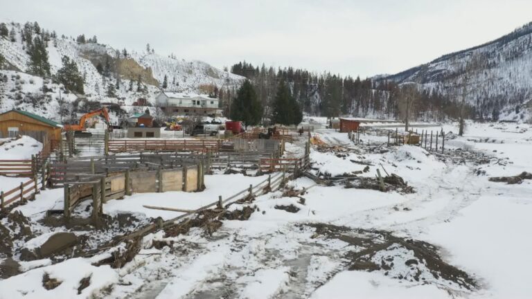 ‘People need help now’: B.C. ranchers in urgent need of financial aid to rebuild their lives