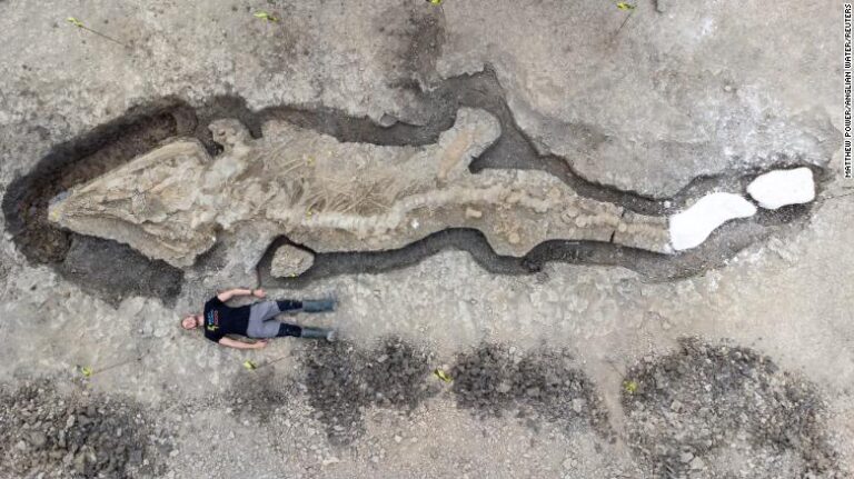 Huge 180 million-year-old ‘sea dragon’ fossil found in U.K. reservoir