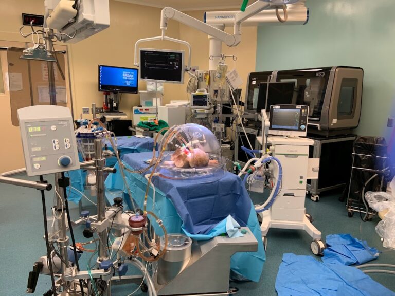 Canadian study discovers way to make ‘universal’ organs for all transplant recipients