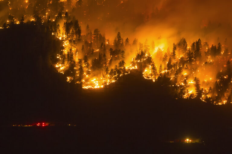 Wildfires to scorch large parts of the world in coming decades, UN warns